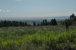 The top of the climb. The bright reflection against the dark background in the distance is the reflection of the Snake River, near where our day started.