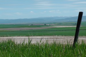 The Camas Prairie