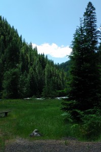 USFS Apgar Campground. Our lunch stop along the Lochsa River