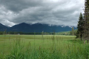 A cool overcast day.