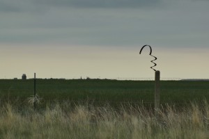 Just something interesting stuck to a fence post