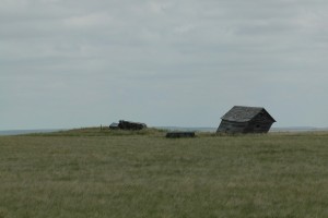 Windblown