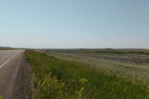 Open rangeland, the scenery for the day.