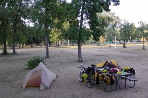 The parched grass at our campsite.