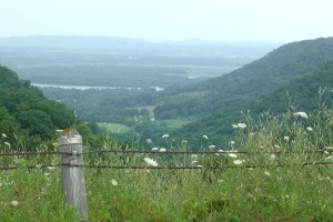 Our climb took us to a beautiful view of the Mississippi River