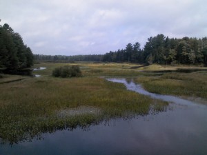 Near Old Forge.